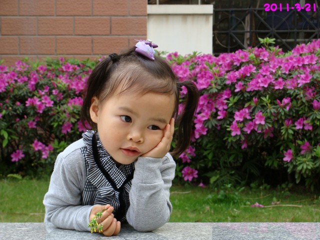 journal_insert_pic_54968083