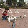 重新曝光 旋转 调整大小 DSC04930.jpg