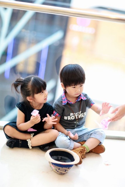 journal_insert_pic_58570439