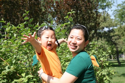 journal_insert_pic_58665207