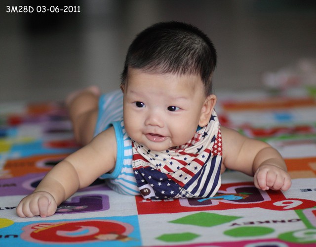 journal_insert_pic_60046285