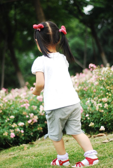 journal_insert_pic_60063355