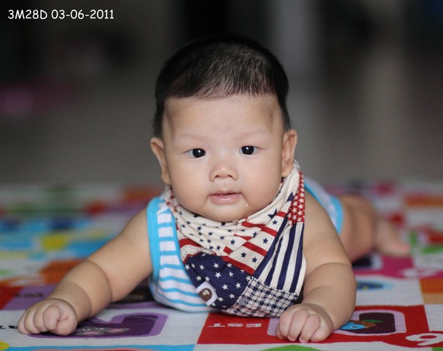 journal_insert_pic_60046280