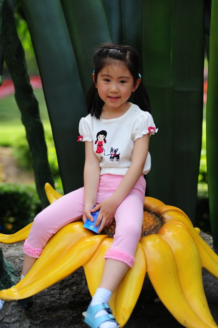 journal_insert_pic_60081532