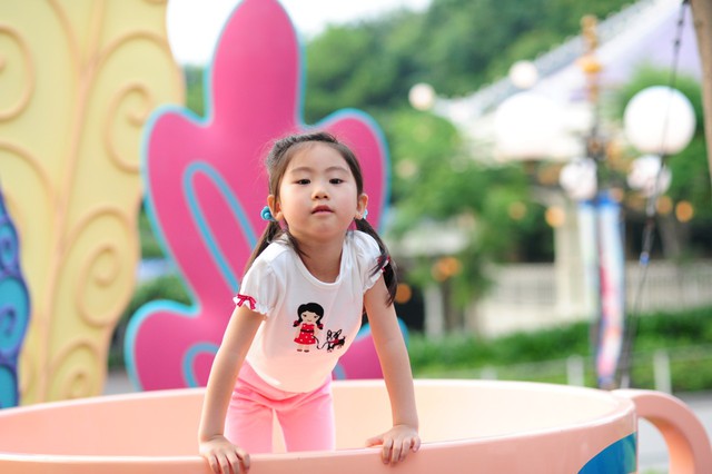 journal_insert_pic_60081506