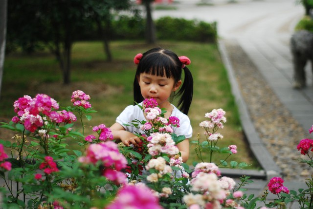 journal_insert_pic_60063499