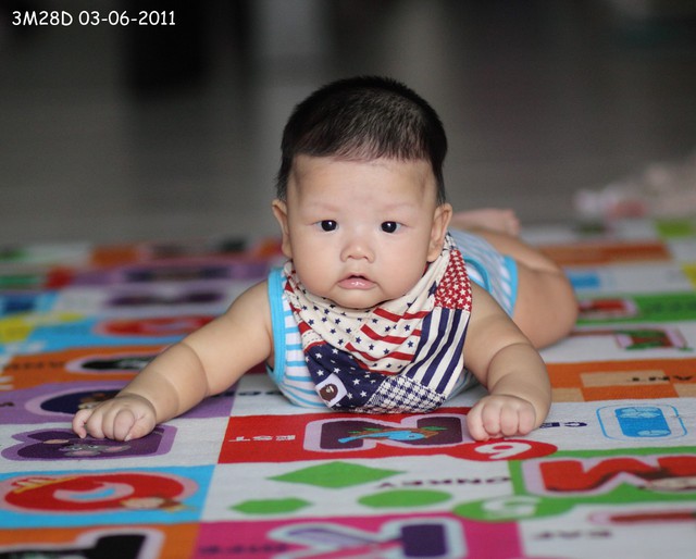 journal_insert_pic_60046273
