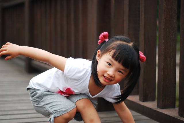journal_insert_pic_60063523