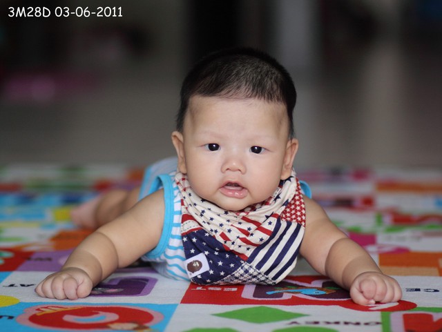journal_insert_pic_60046288