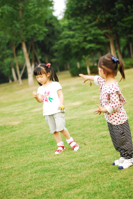 journal_insert_pic_60063105
