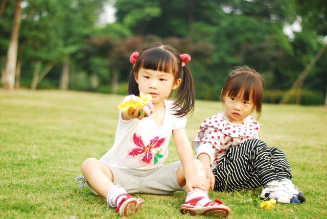 journal_insert_pic_60063187