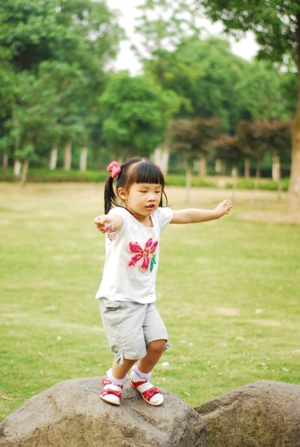 journal_insert_pic_60063009