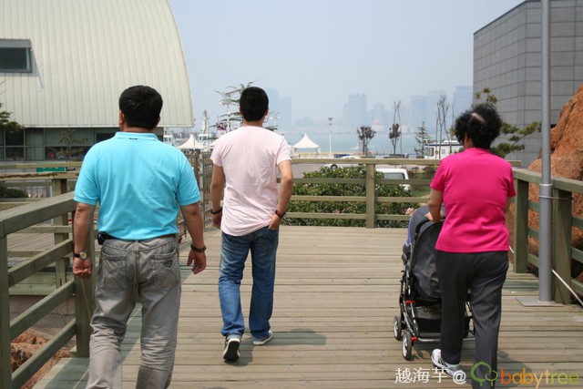 journal_insert_pic_60091590