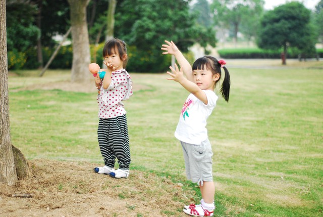 journal_insert_pic_60063433