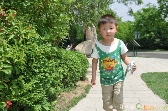 journal_insert_pic_60138572