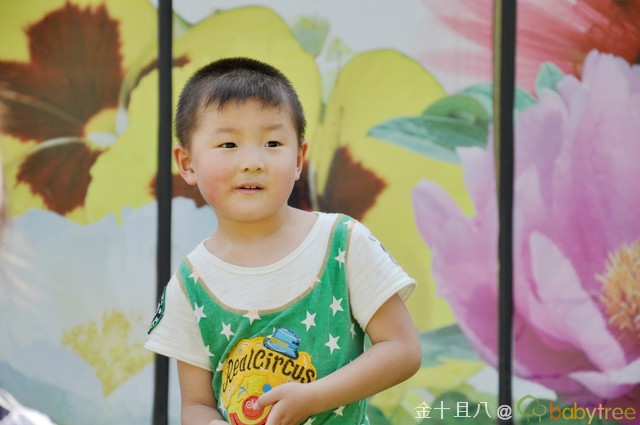 journal_insert_pic_60139428