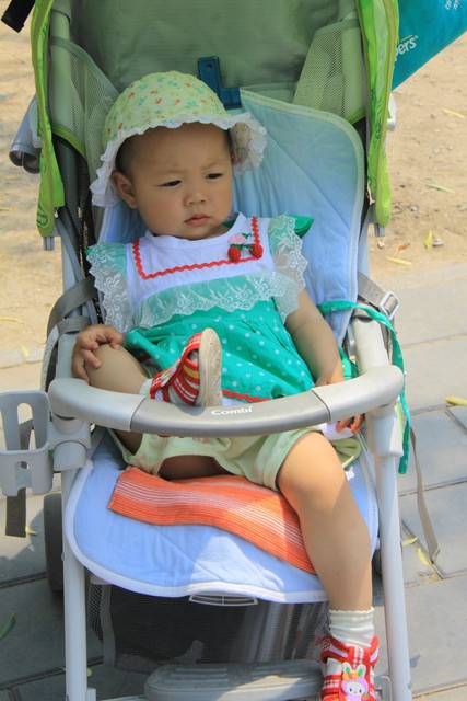 journal_insert_pic_60202942