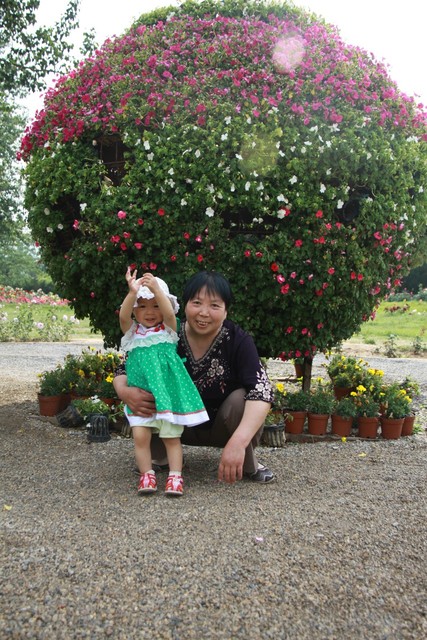 journal_insert_pic_60203226