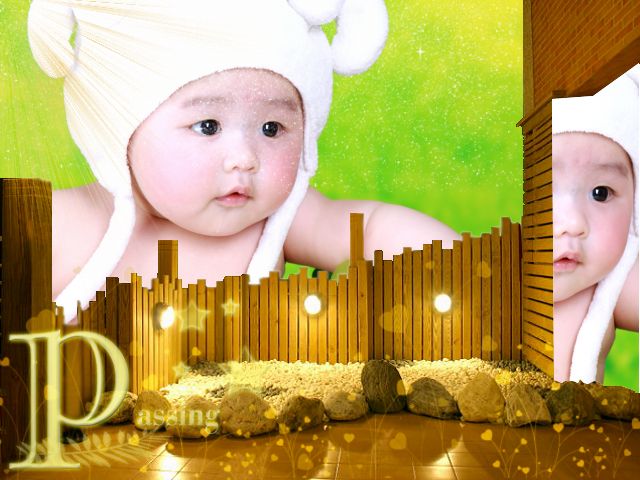 journal_insert_pic_60534909