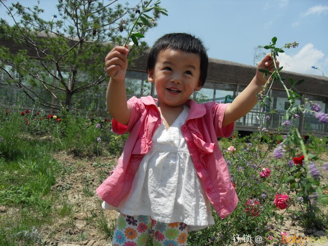 journal_insert_pic_60690664