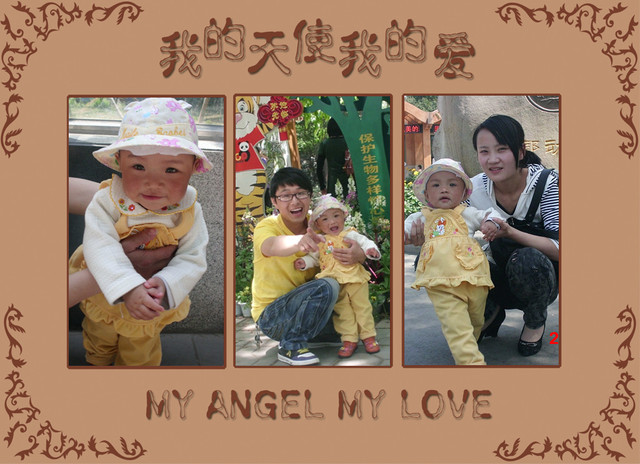 journal_insert_pic_60982786