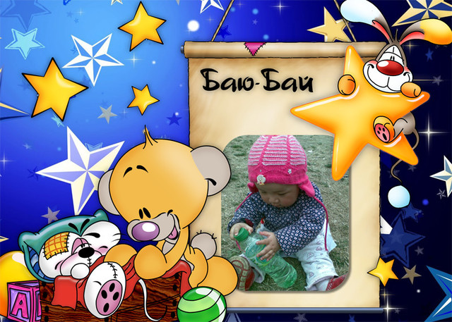 journal_insert_pic_60982773