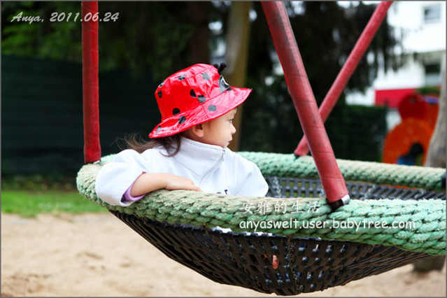 journal_insert_pic_61617108