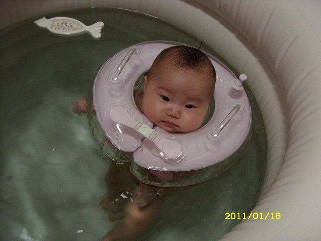 journal_insert_pic_62082666