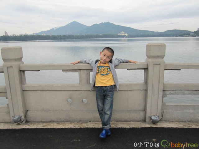 journal_insert_pic_62379231