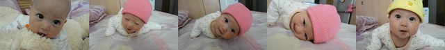 journal_insert_pic_62879437