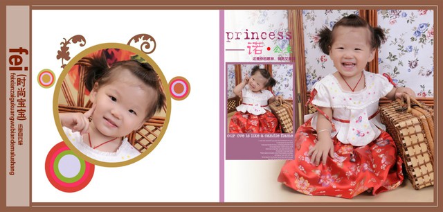 journal_insert_pic_65678958