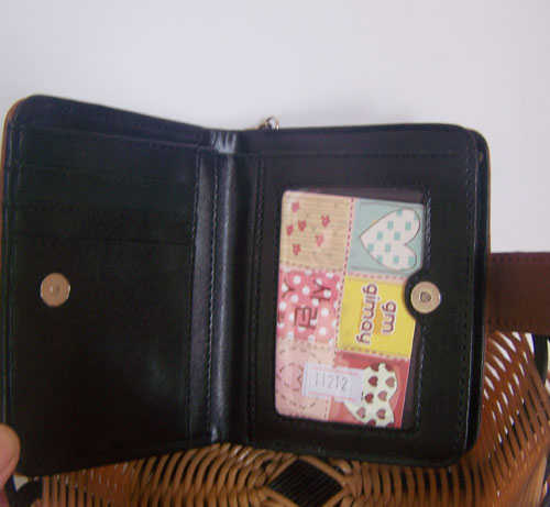 journal_insert_pic_66957180