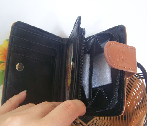 journal_insert_pic_66957178