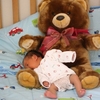 Resize of IMG_1667.JPG