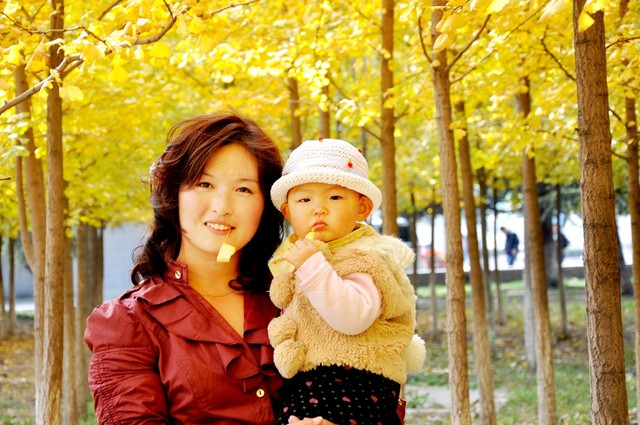 journal_insert_pic_70752480