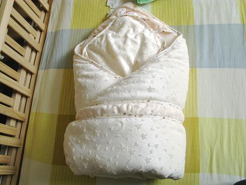 journal_insert_pic_71399060