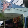 P1050167.JPG