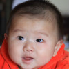 欢乐的TongTong