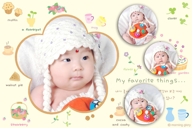 journal_insert_pic_74236255