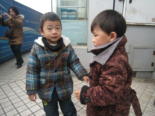 journal_insert_pic_74947916