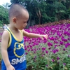 图像2598.jpg