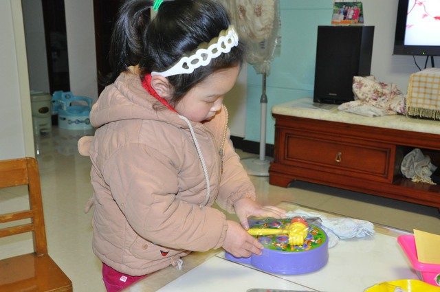 journal_insert_pic_75045327