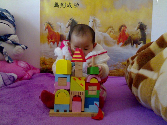 journal_insert_pic_75542235