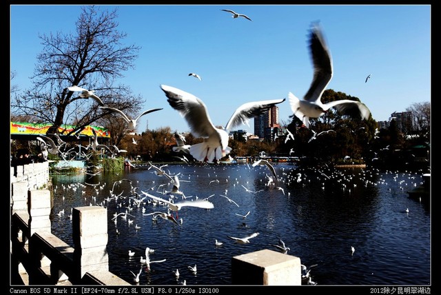 journal_insert_pic_75581416