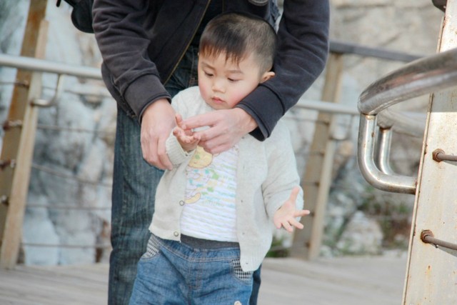journal_insert_pic_75652506