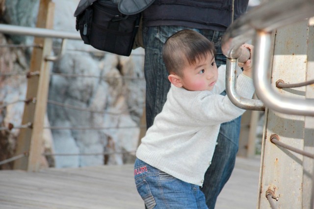 journal_insert_pic_75652510