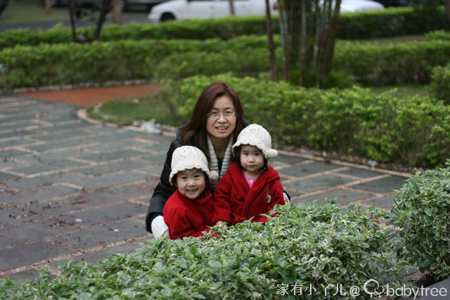 journal_insert_pic_75703147