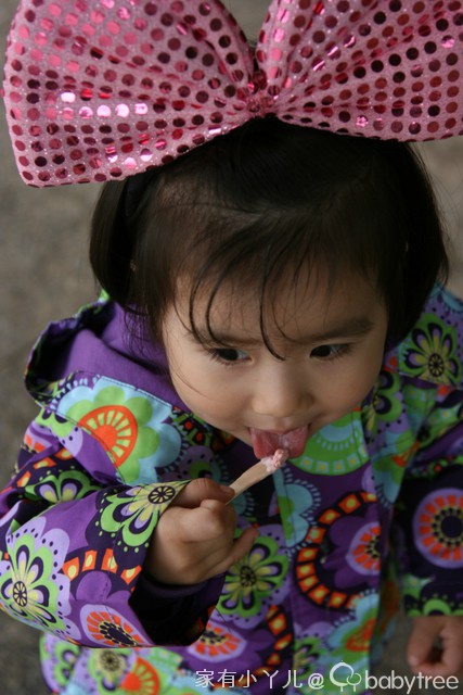journal_insert_pic_75703101