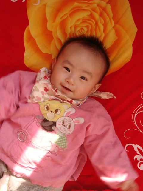 journal_insert_pic_75806638