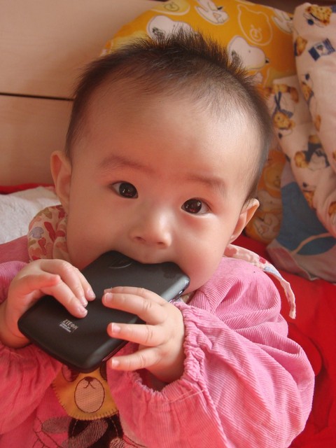 journal_insert_pic_75806706